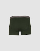 Men's cotton boxer shorts Green