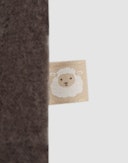 Jakke i merinoullfleece til baby Kastanjebrun