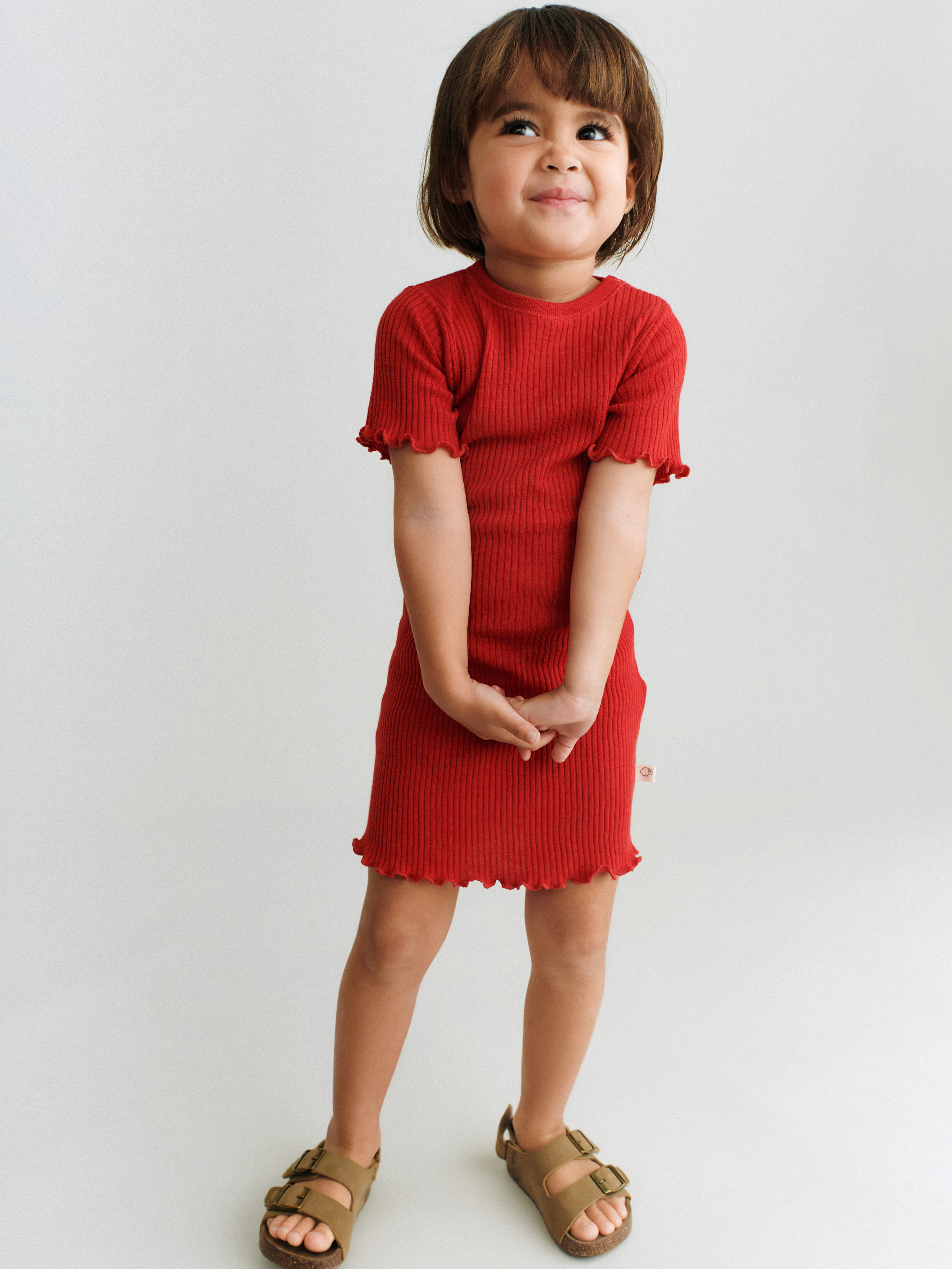 layered ruffle sleeve dress Full Size Ruffled Layered Petal Sleeve Dress Plus Size – Charming Charlie main image 1