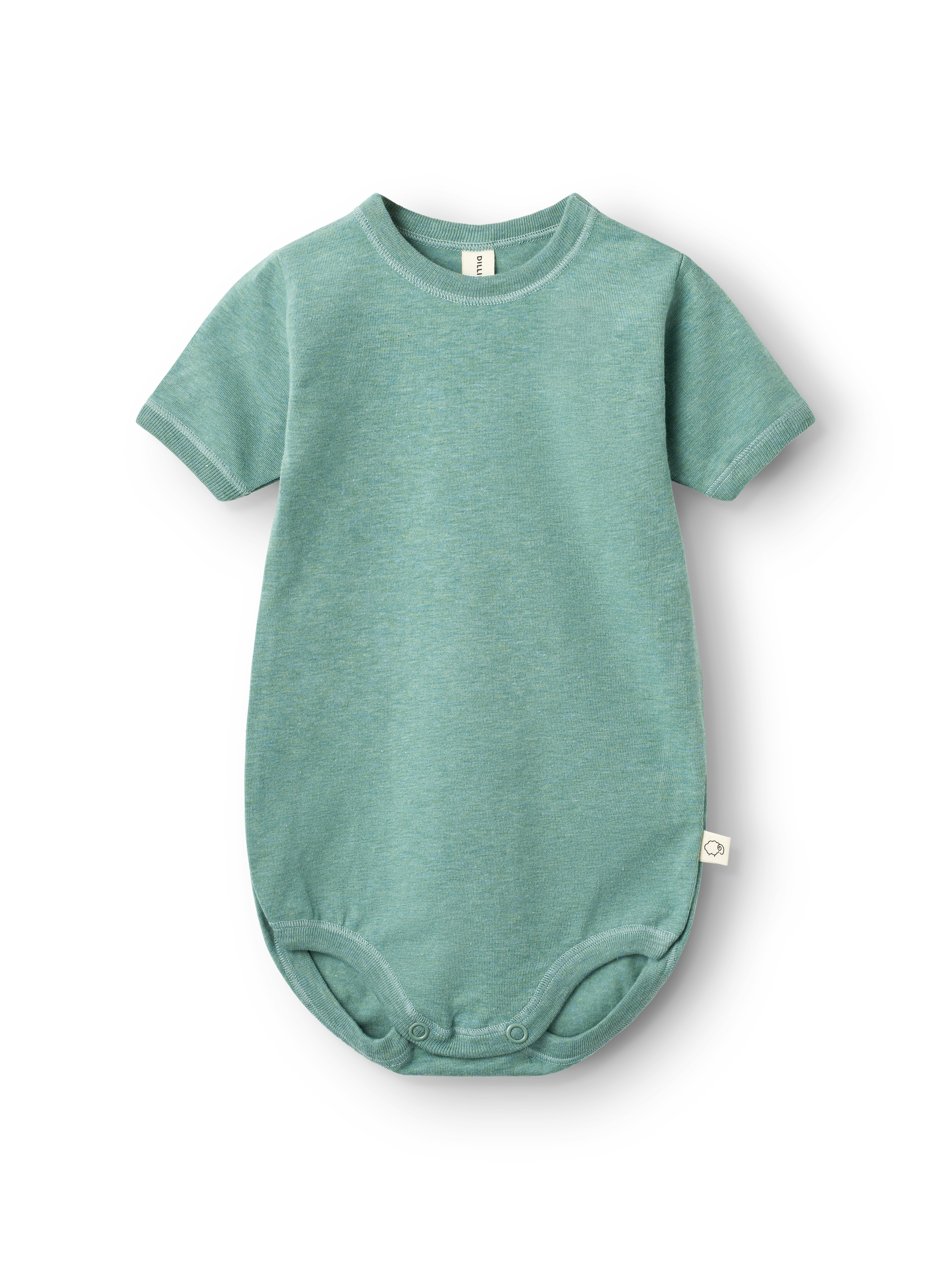 Kortermet body