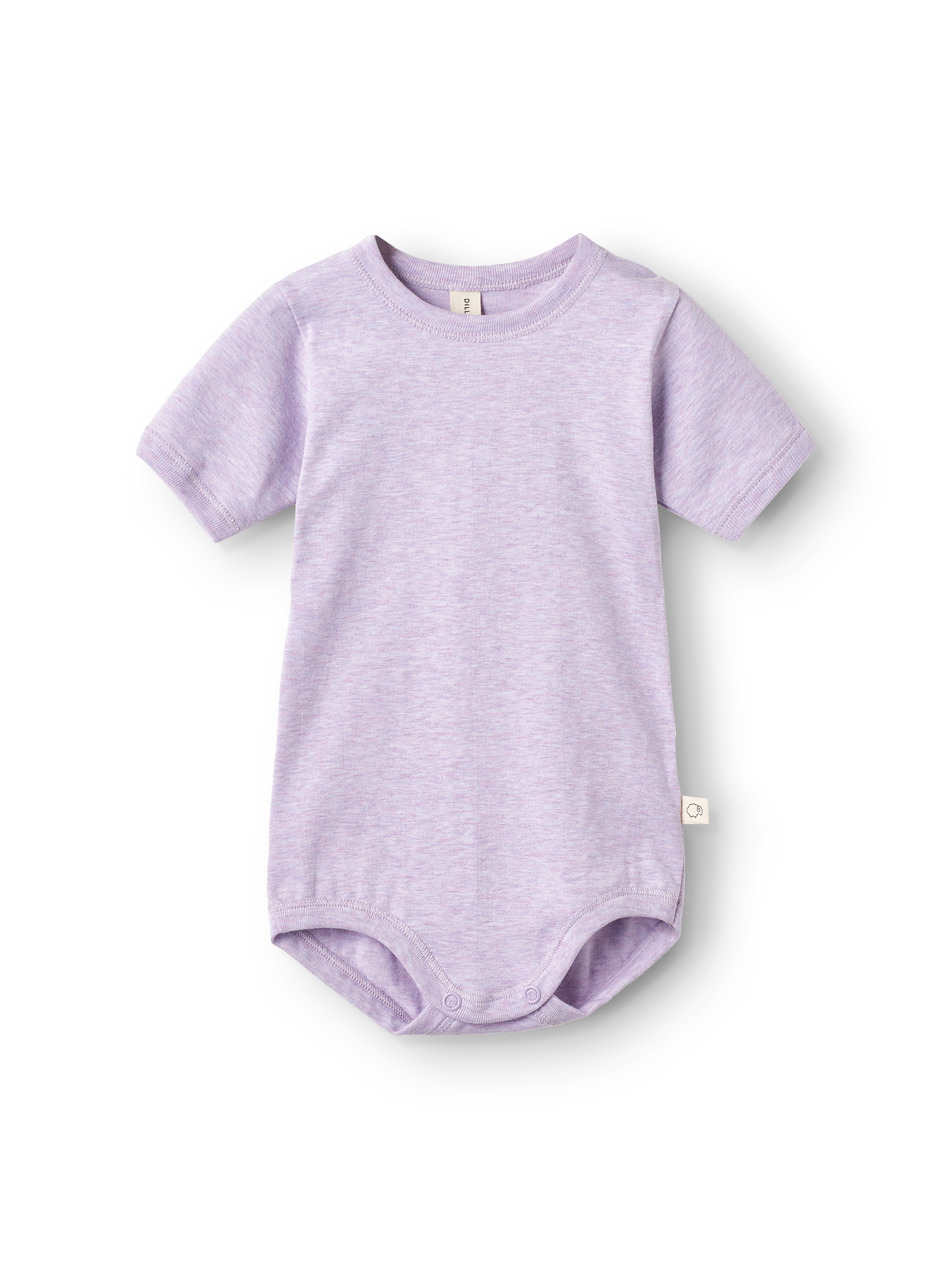Kortermet body