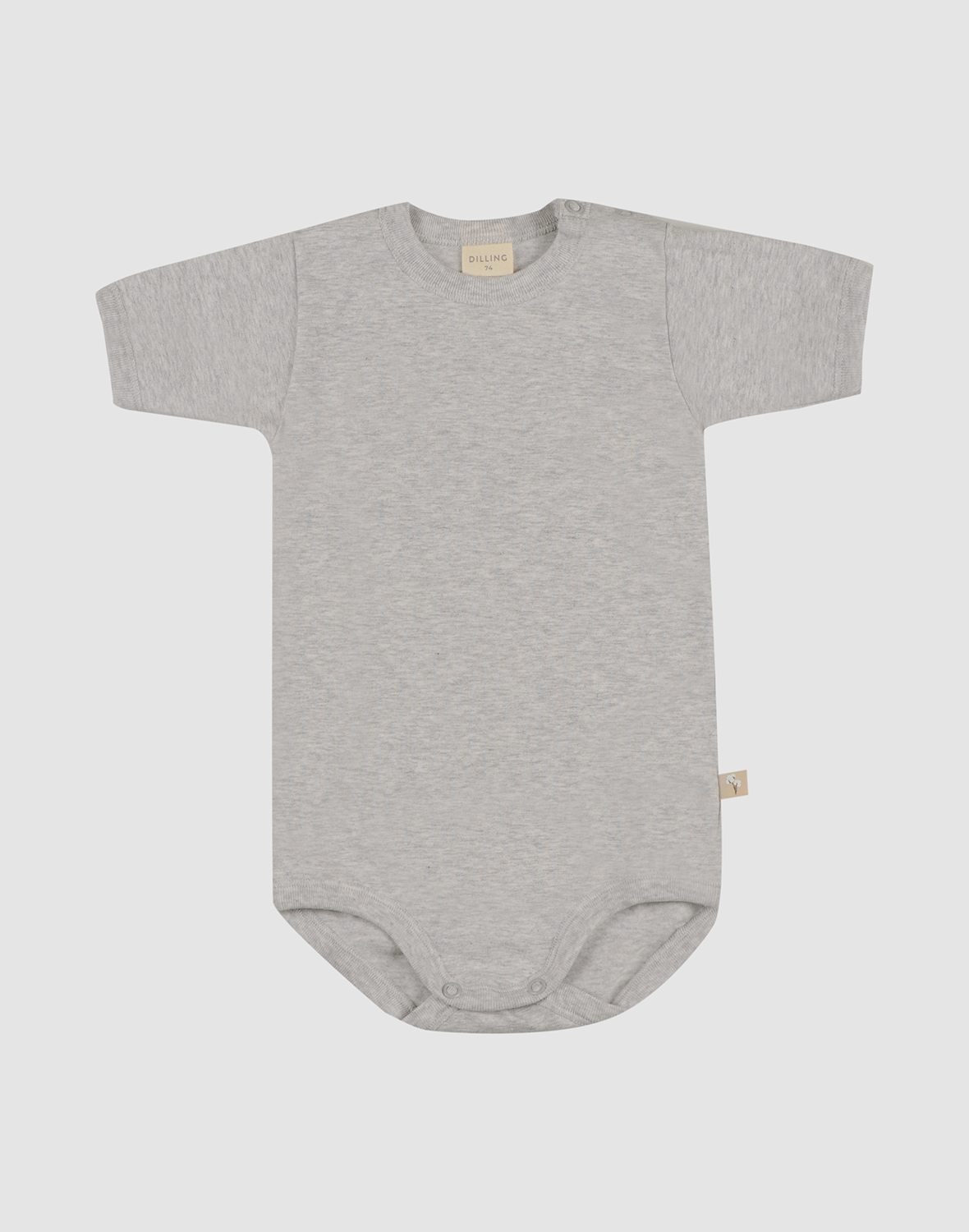 Kortermet body