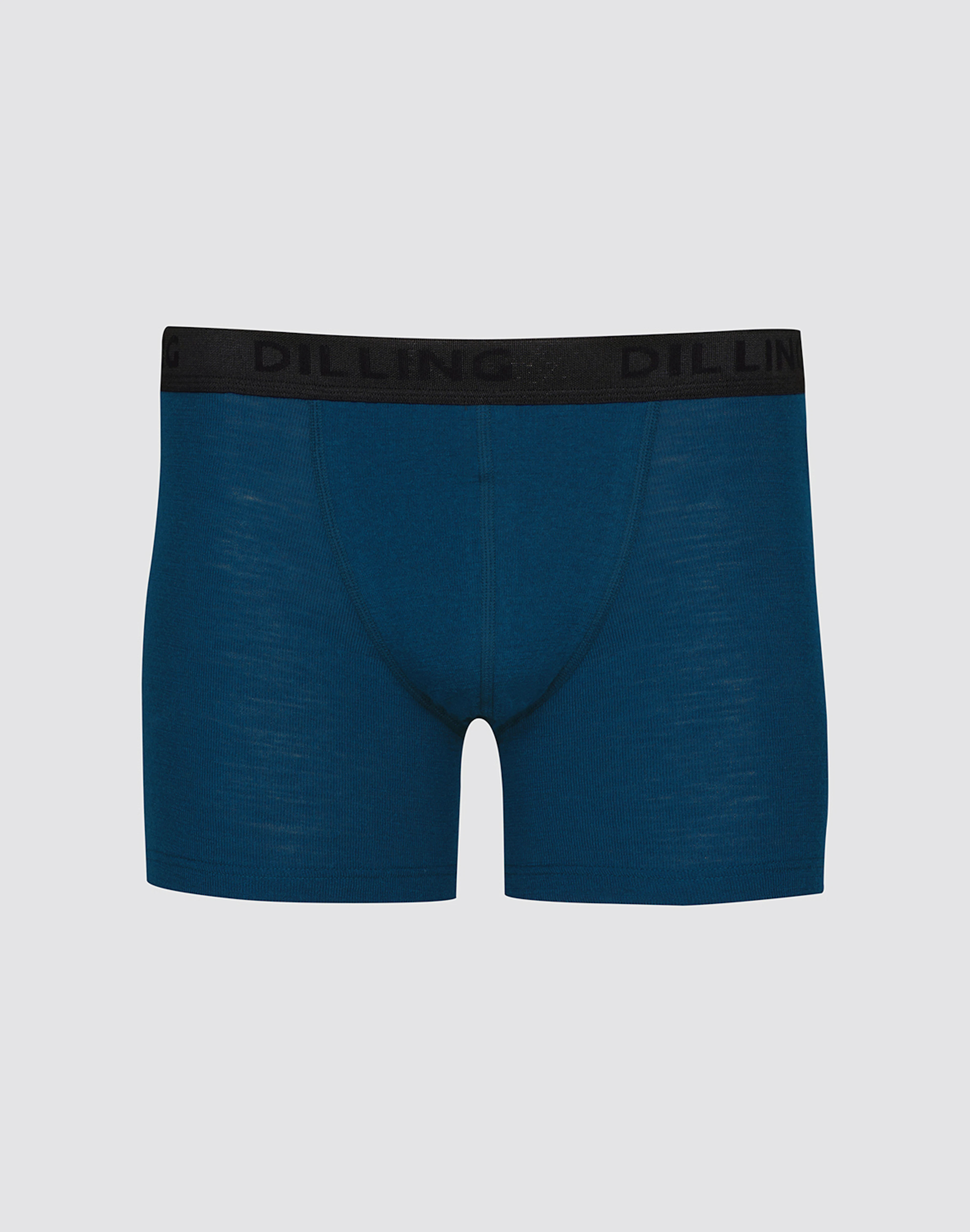 Laine Naturelle Régulante Caleçon Long Laine Mérinos DILLING Homme - Noir Taille S Caleçon Long Laine Mérinos Homme