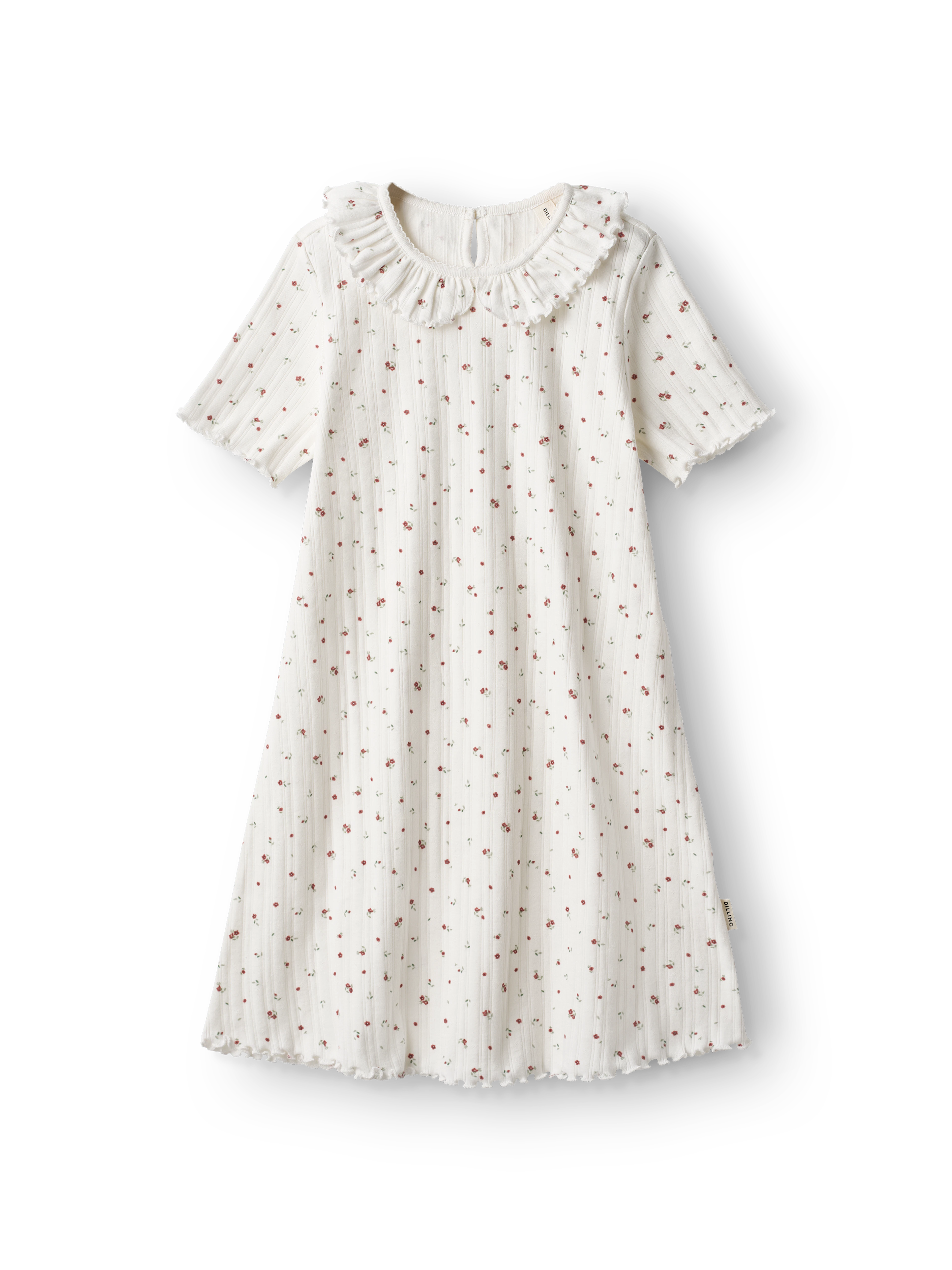 cotton pointelle dress Pointelle Dress | Only  38